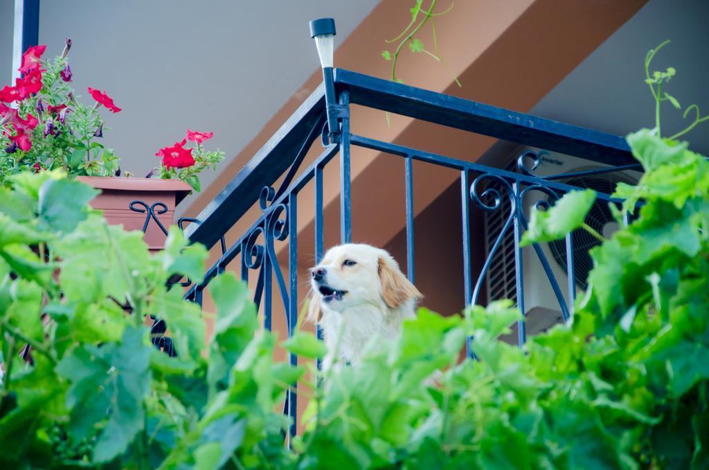 Nefeli Apartman Levídi Kültér fotó